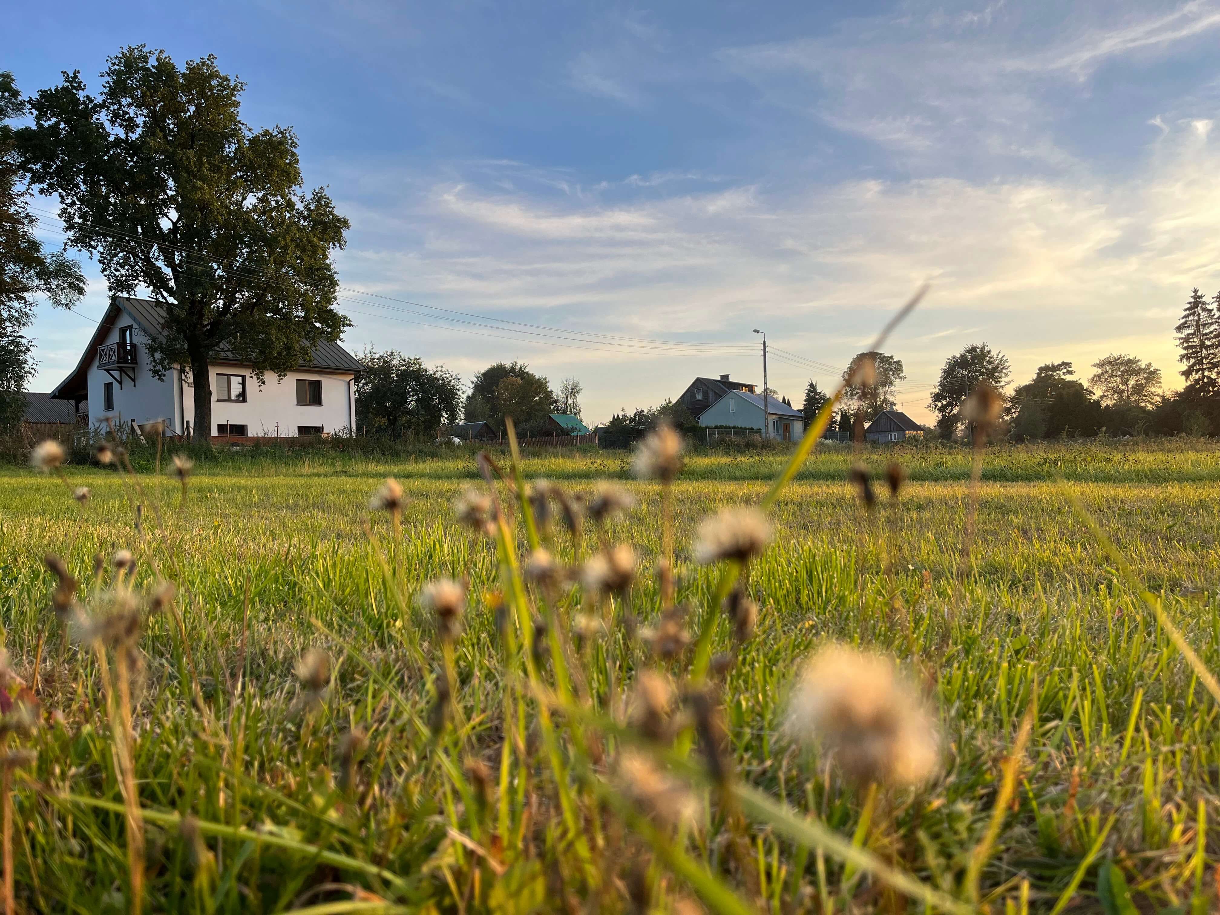 Łąka o zachodzie słońca, w tle dom pod starym dębem